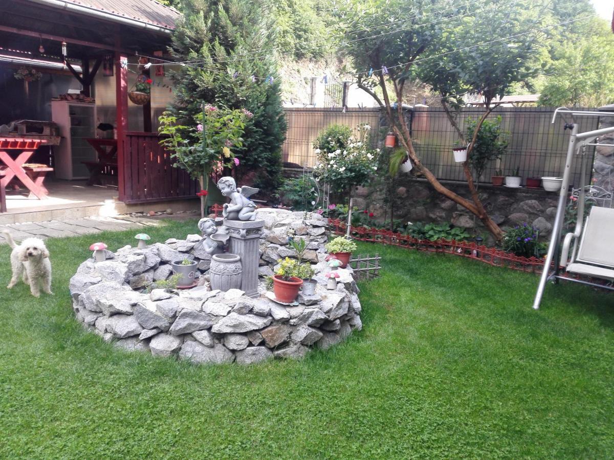 Vila Ana Băile Herculane المظهر الخارجي الصورة