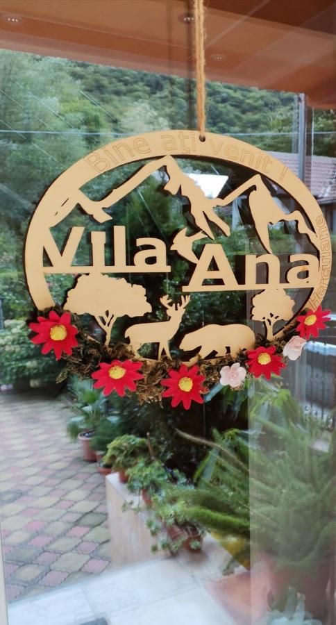 Vila Ana Băile Herculane المظهر الخارجي الصورة